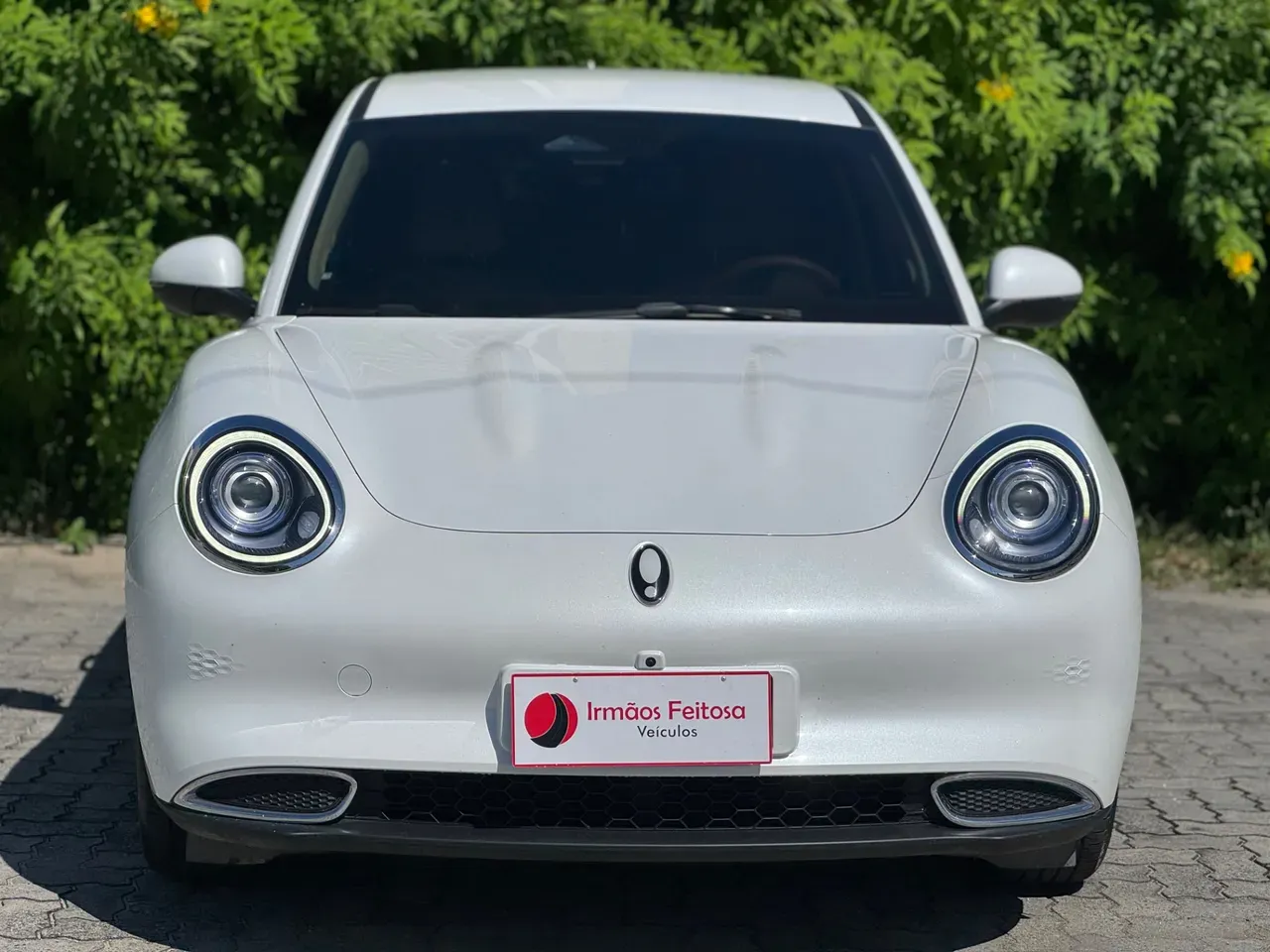 GWM Ora 03 - Imagem 2