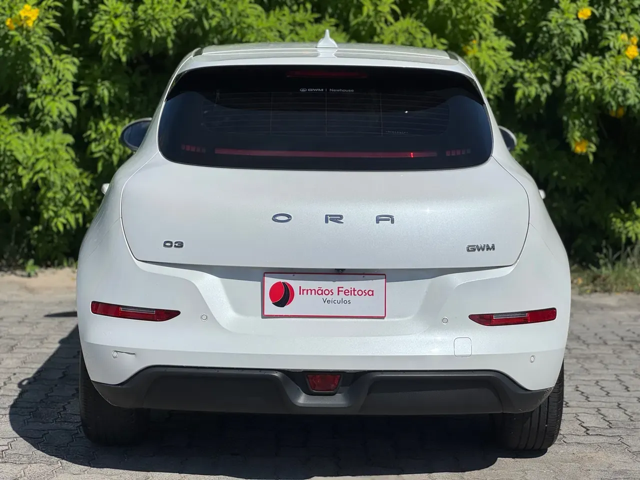 GWM Ora 03 - Imagem 3