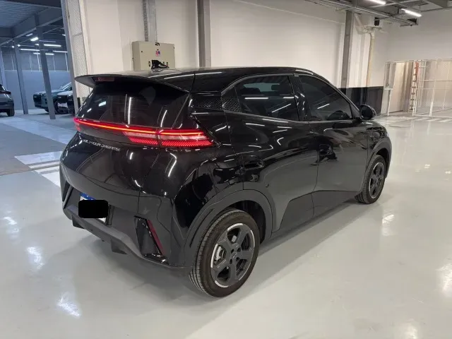 BYD Dolphin Mini - Imagem 2