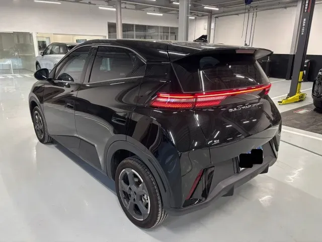 BYD Dolphin Mini - Imagem 4