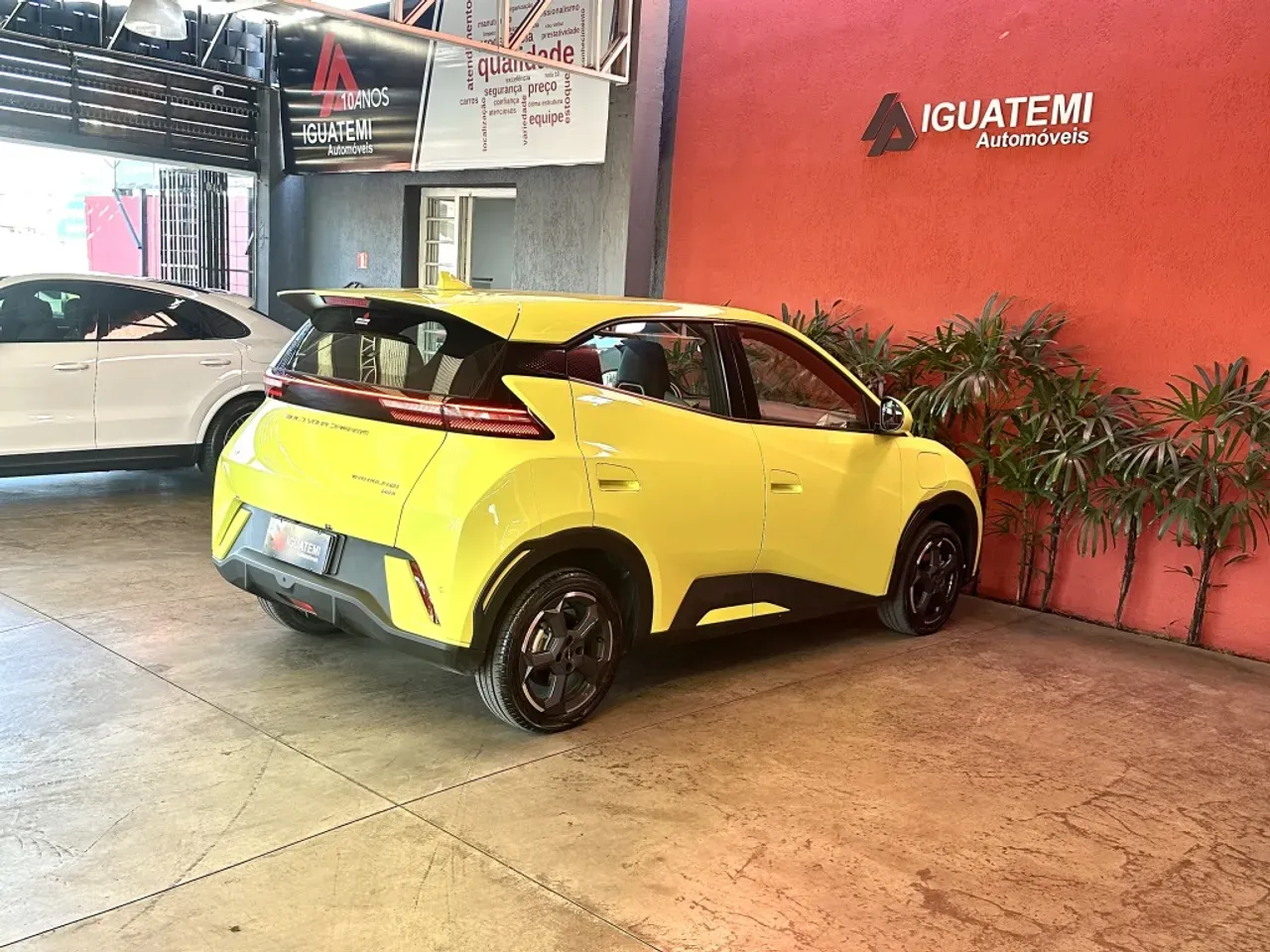 BYD Dolphin Mini - Imagem 4