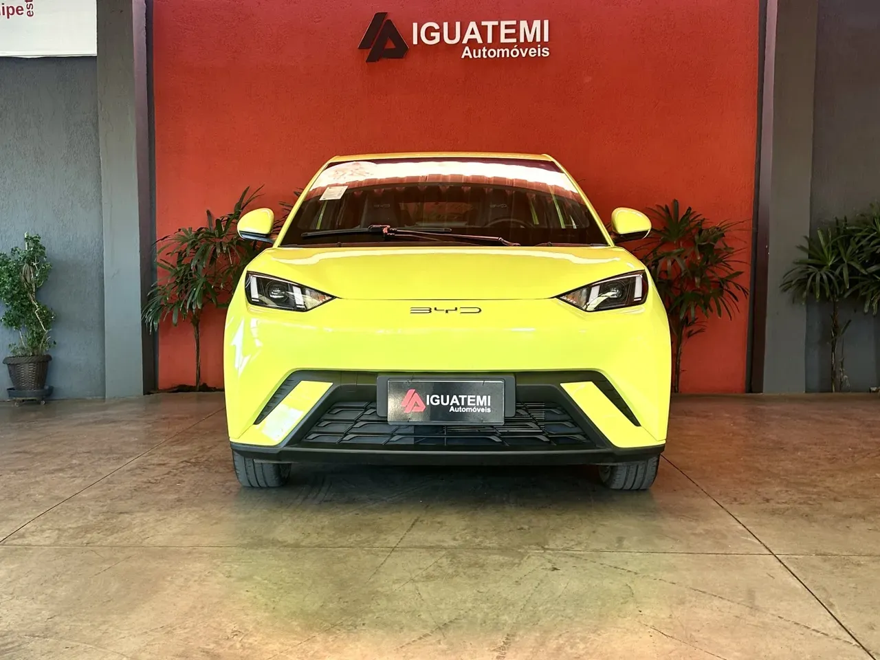 BYD Dolphin Mini - Imagem 5