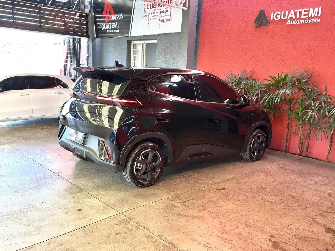 BYD Dolphin Mini - Imagem 18