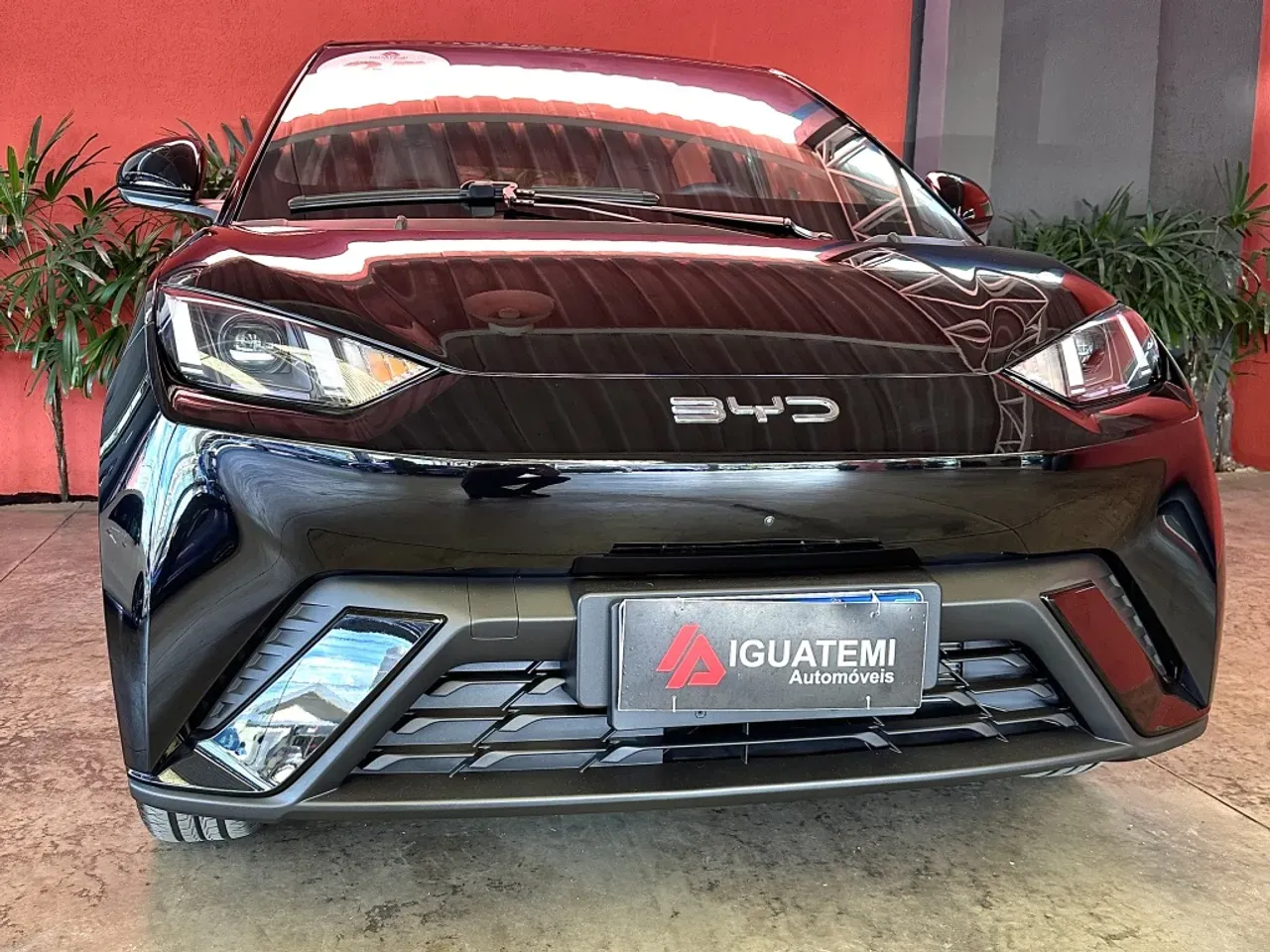 BYD Dolphin Mini - Imagem 3