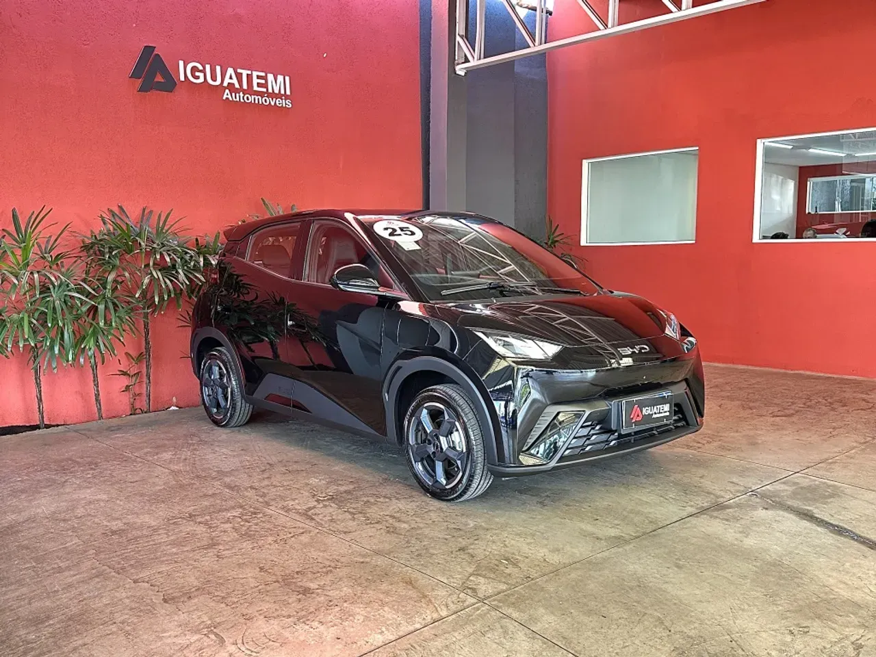 BYD Dolphin Mini - Imagem 8