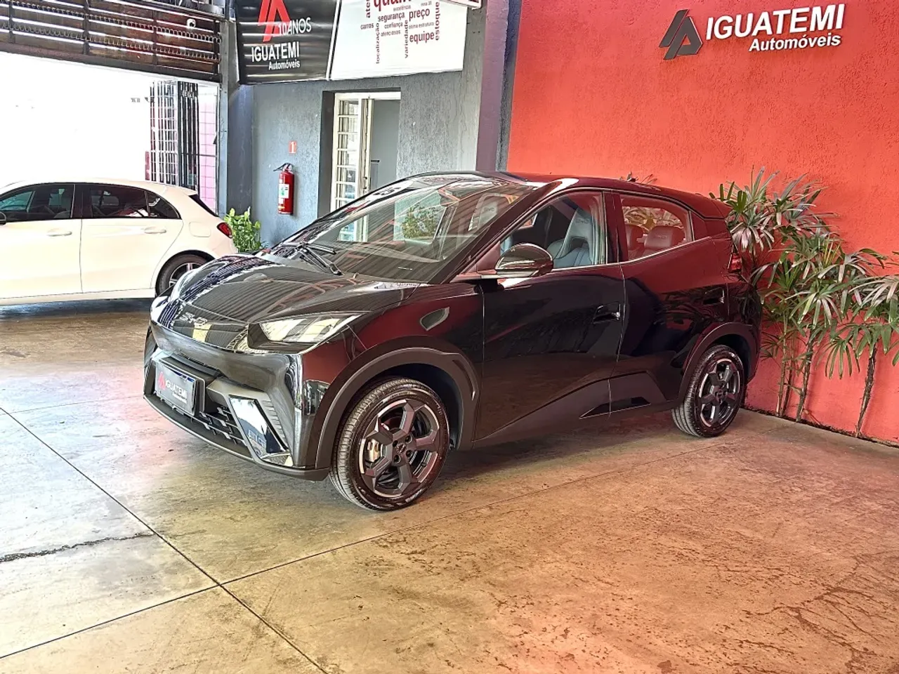 BYD Dolphin Mini - Imagem 9