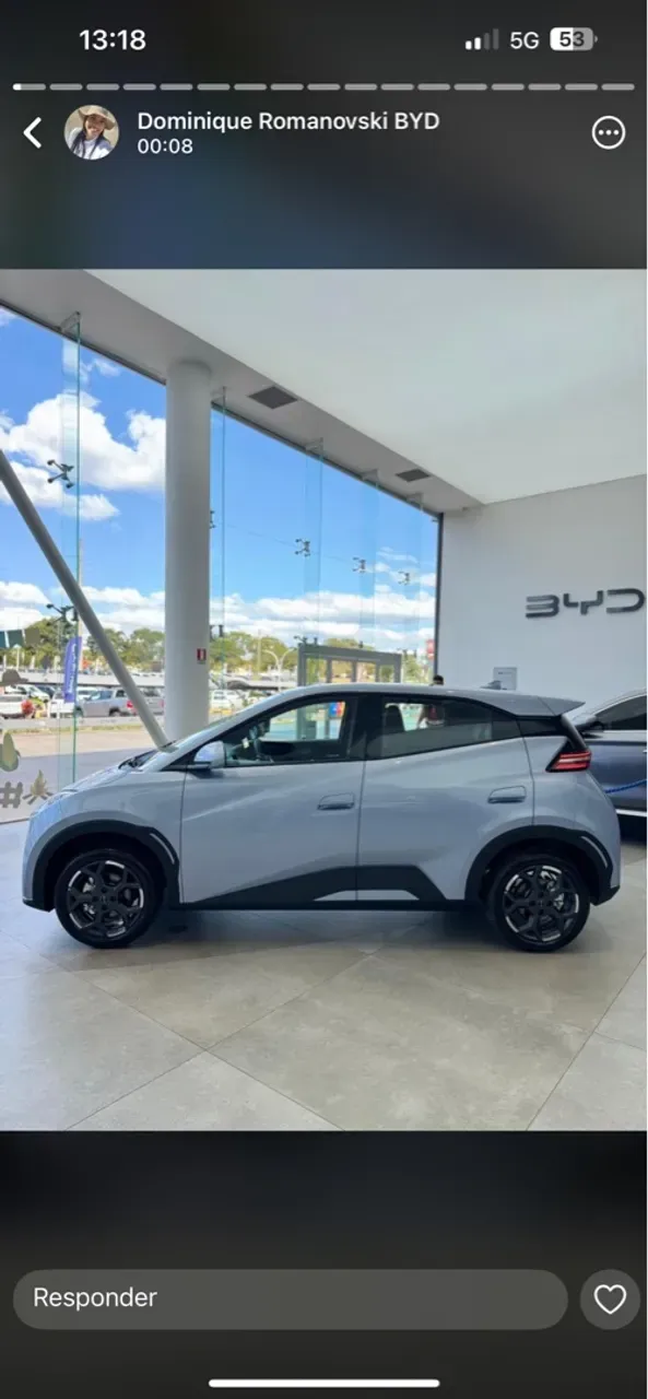 BYD Dolphin Mini - Imagem 6