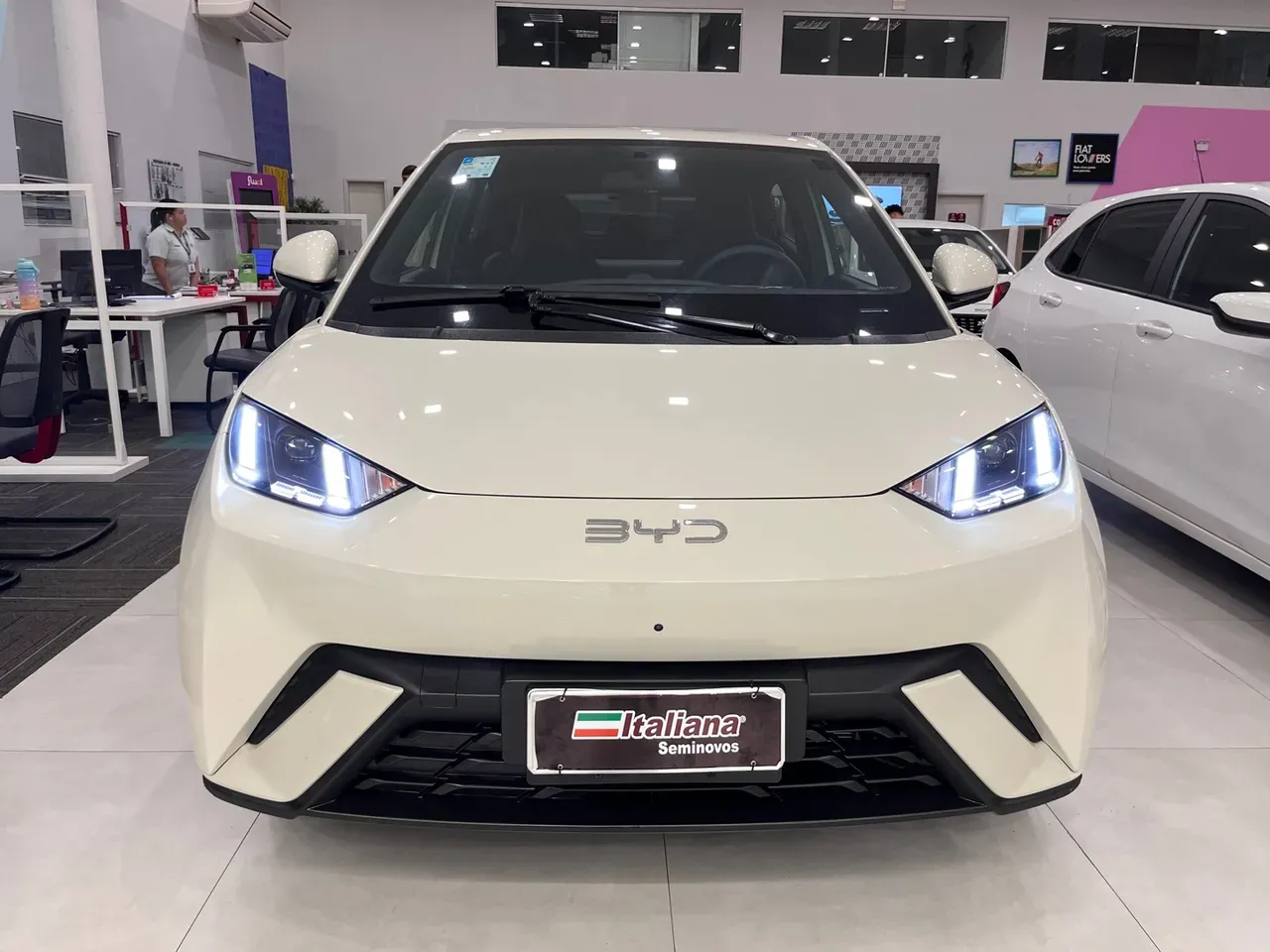 BYD Dolphin Mini - Imagem 19