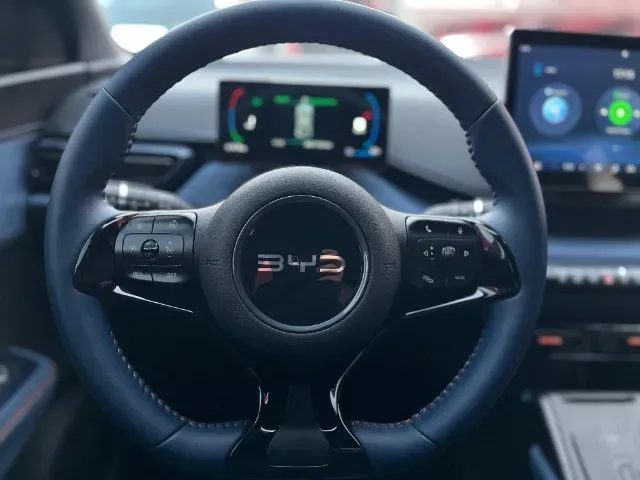 BYD Dolphin Mini - Imagem 15