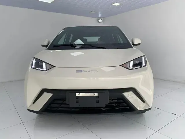 BYD Dolphin Mini - Imagem 2