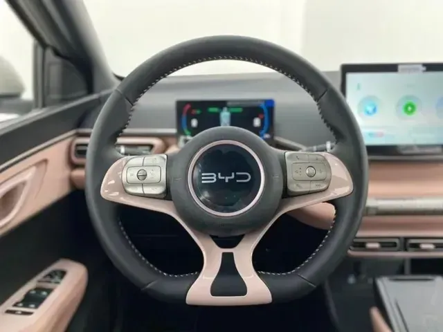 BYD Dolphin Mini - Imagem 9