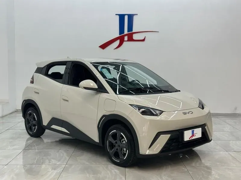 BYD Dolphin - Imagem 3