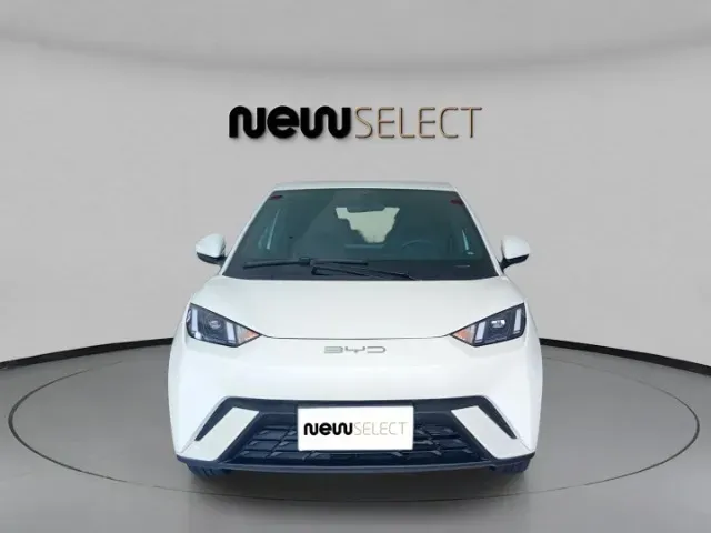 BYD Dolphin Mini - Imagem 2