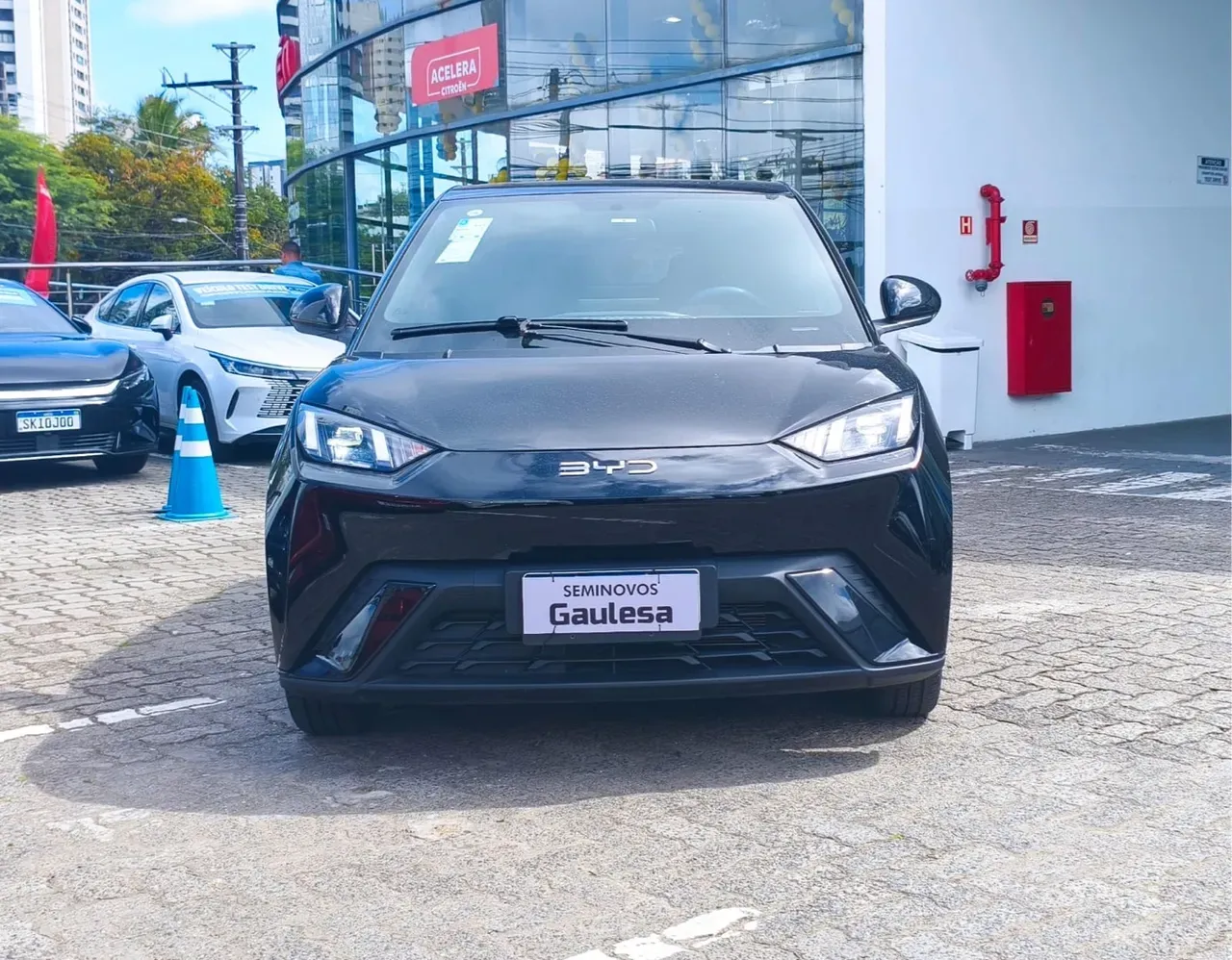 BYD Dolphin Mini - Imagem 2