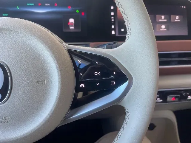 GWM Ora 03 - Imagem 13