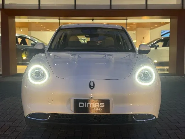 GWM Ora 03 - Imagem 12