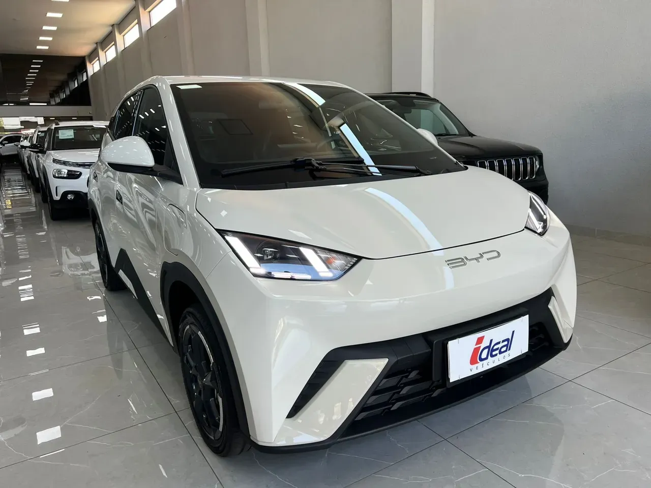 BYD Dolphin Mini - Imagem 3