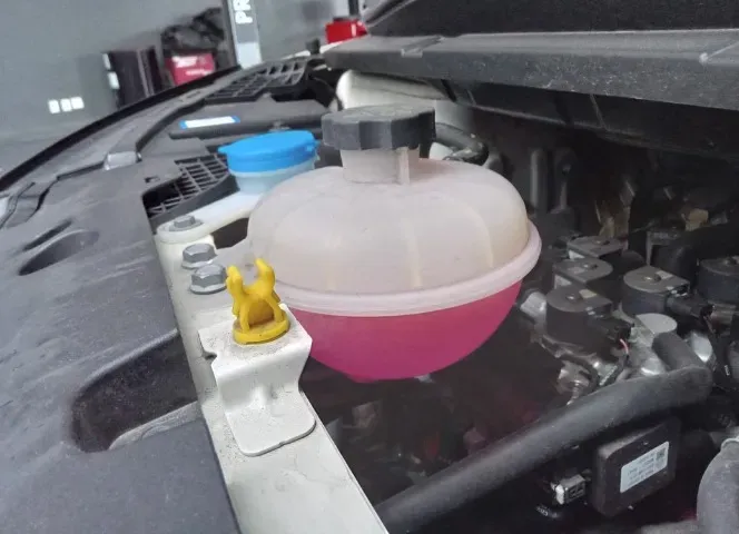 BYD Dolphin Mini - Imagem 11