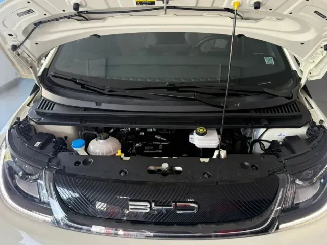 BYD Dolphin - Imagem 19