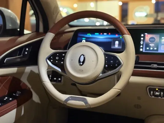 GWM Ora 03 - Imagem 19