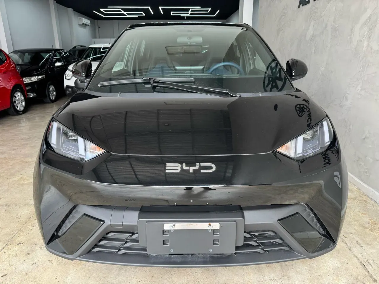 BYD Dolphin Mini - Imagem 2