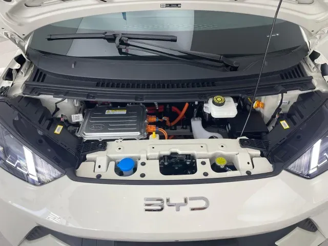 BYD Dolphin Mini - Imagem 8