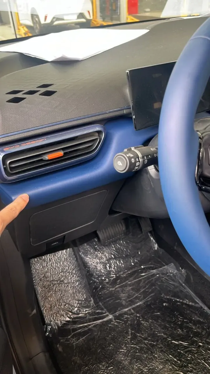 BYD Dolphin Mini - Imagem 12