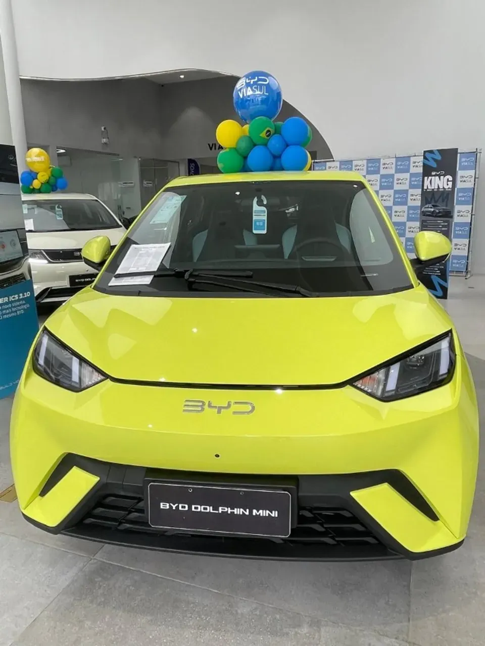 BYD Dolphin Mini - Imagem 10