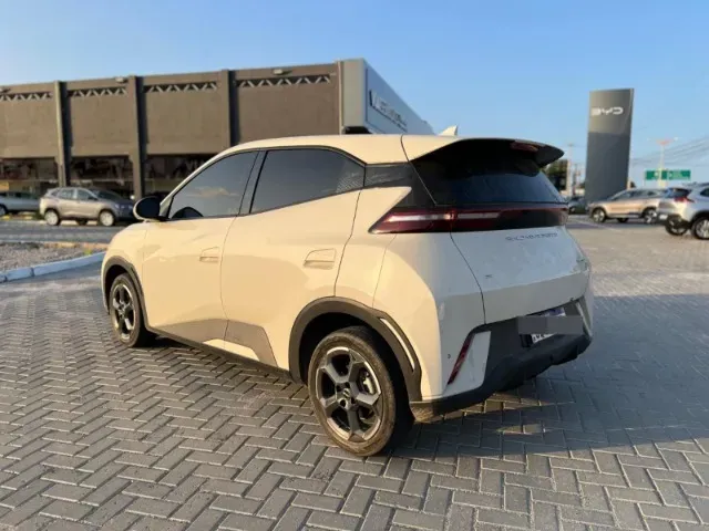 BYD Dolphin Mini - Imagem 11