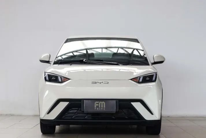 BYD Dolphin Mini - Imagem 2