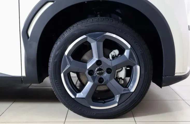 BYD Dolphin Mini - Imagem 6