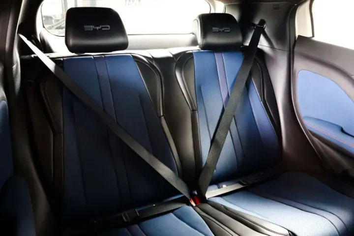 BYD Dolphin Mini - Imagem 14