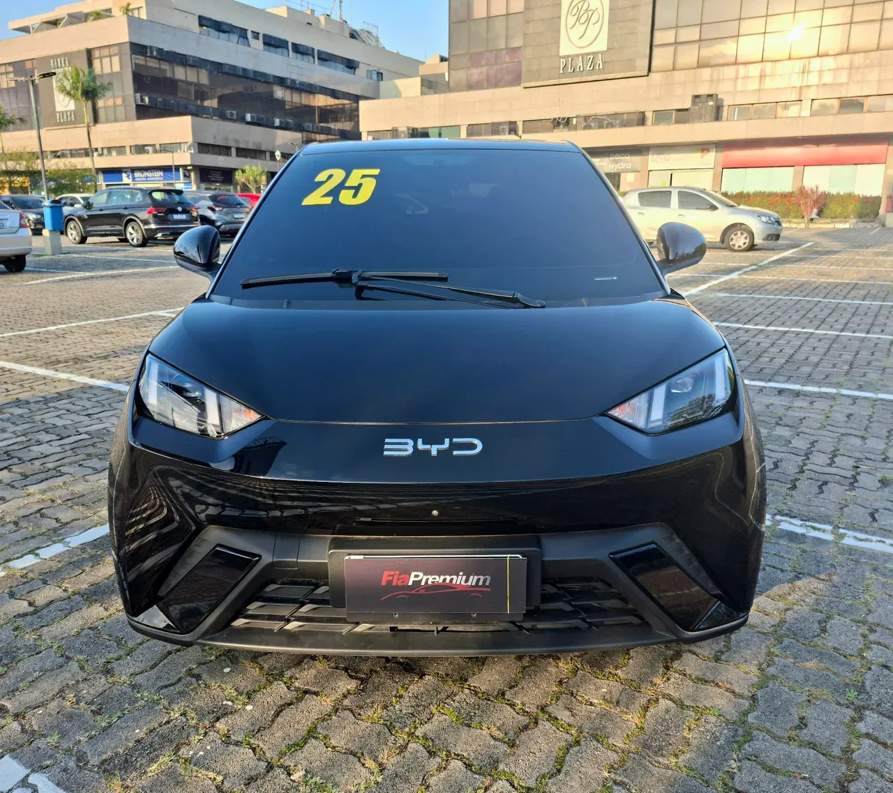 BYD Dolphin Mini - Imagem 2