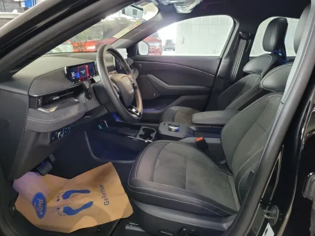 Ford Mustang Mach-e - Imagem 8