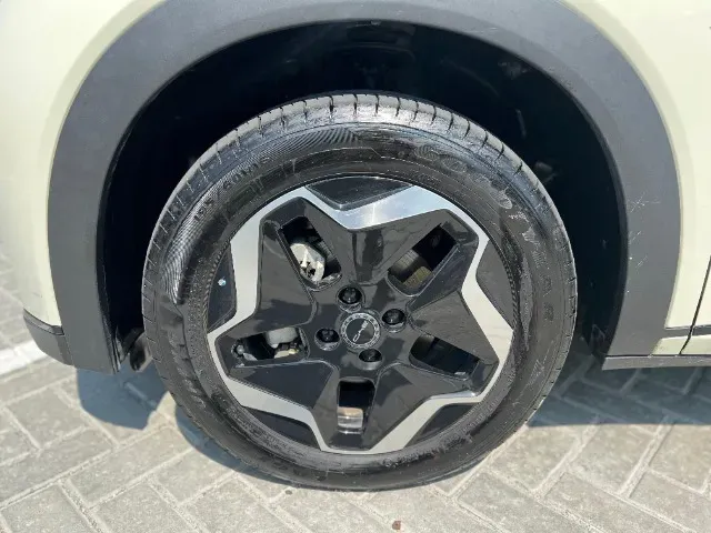 BYD Dolphin - Imagem 14