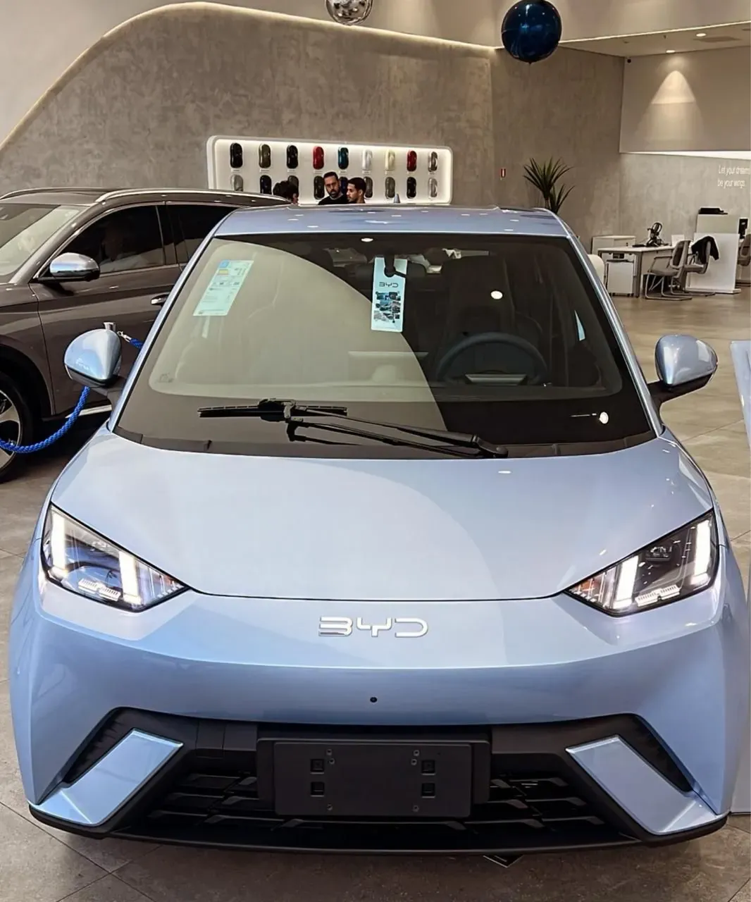 BYD Dolphin Mini - Imagem 2