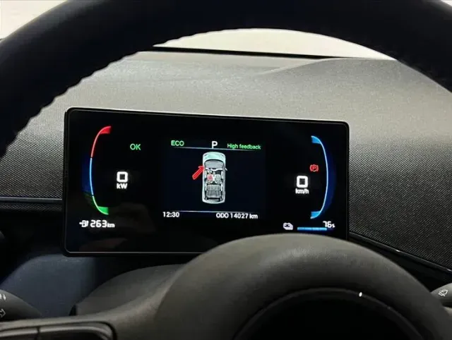 BYD Dolphin Mini - Imagem 14