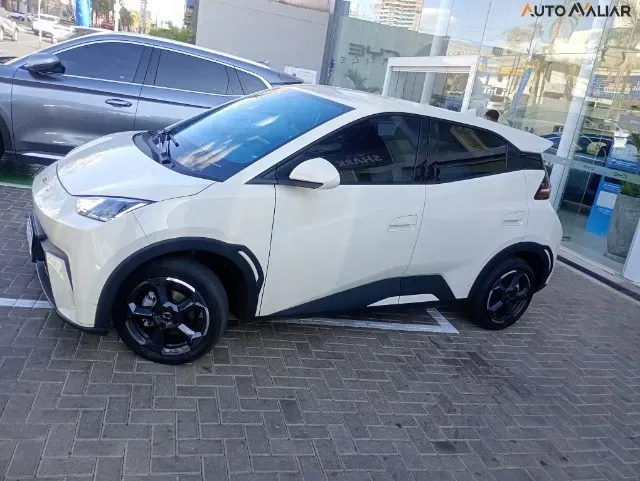 BYD Dolphin Mini - Imagem 6