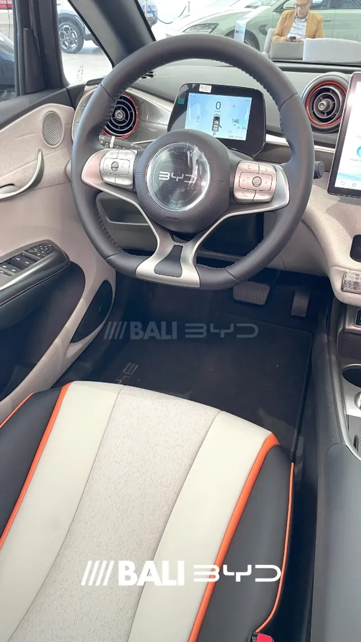 BYD Dolphin - Imagem 5