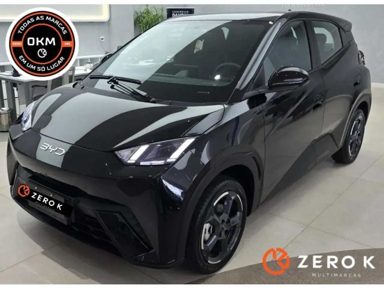 BYD Dolphin Mini - Imagem 2