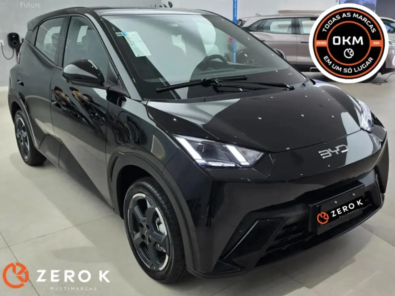 BYD Dolphin Mini - Imagem 3