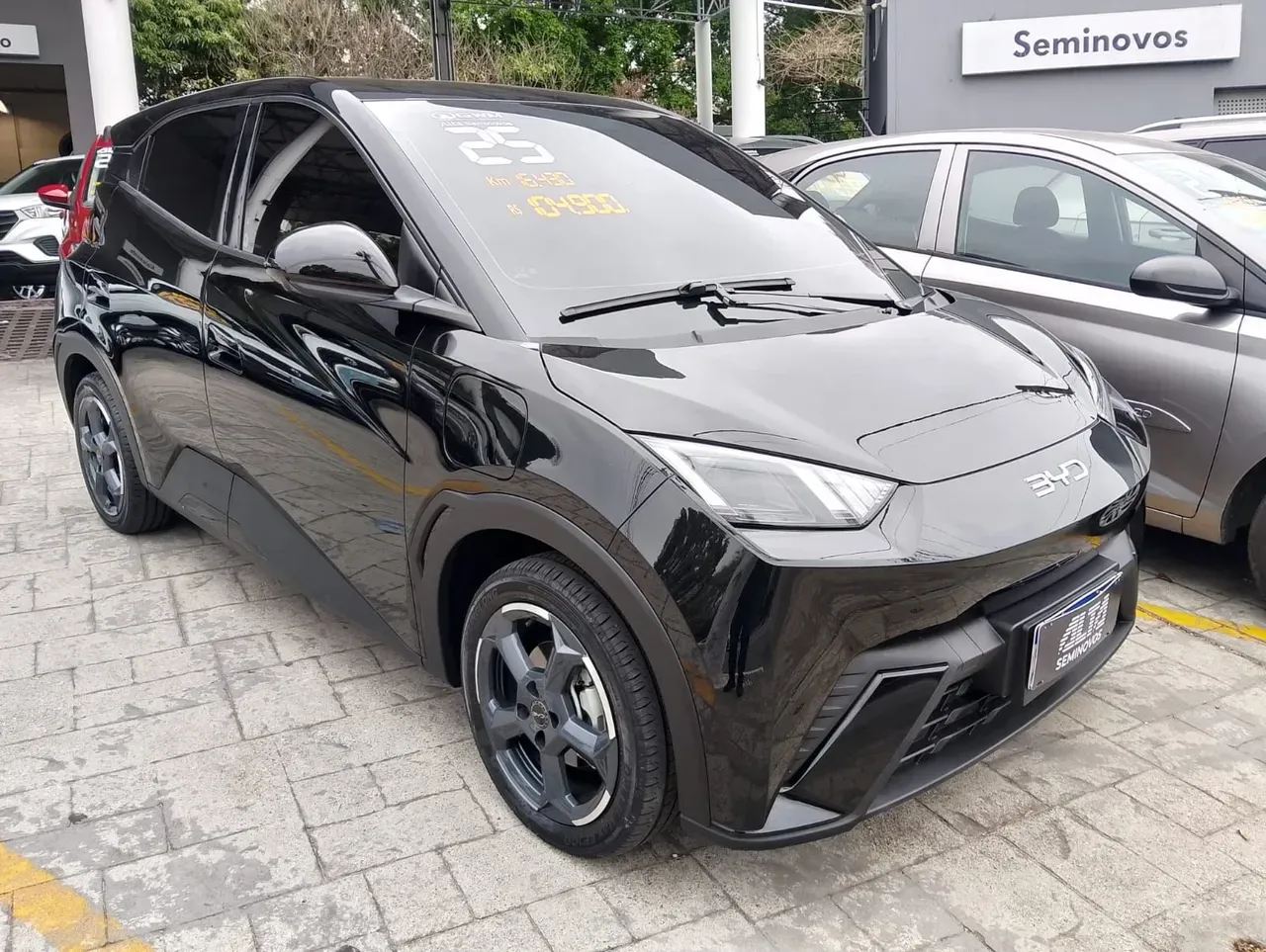 BYD Dolphin Mini - Imagem 3