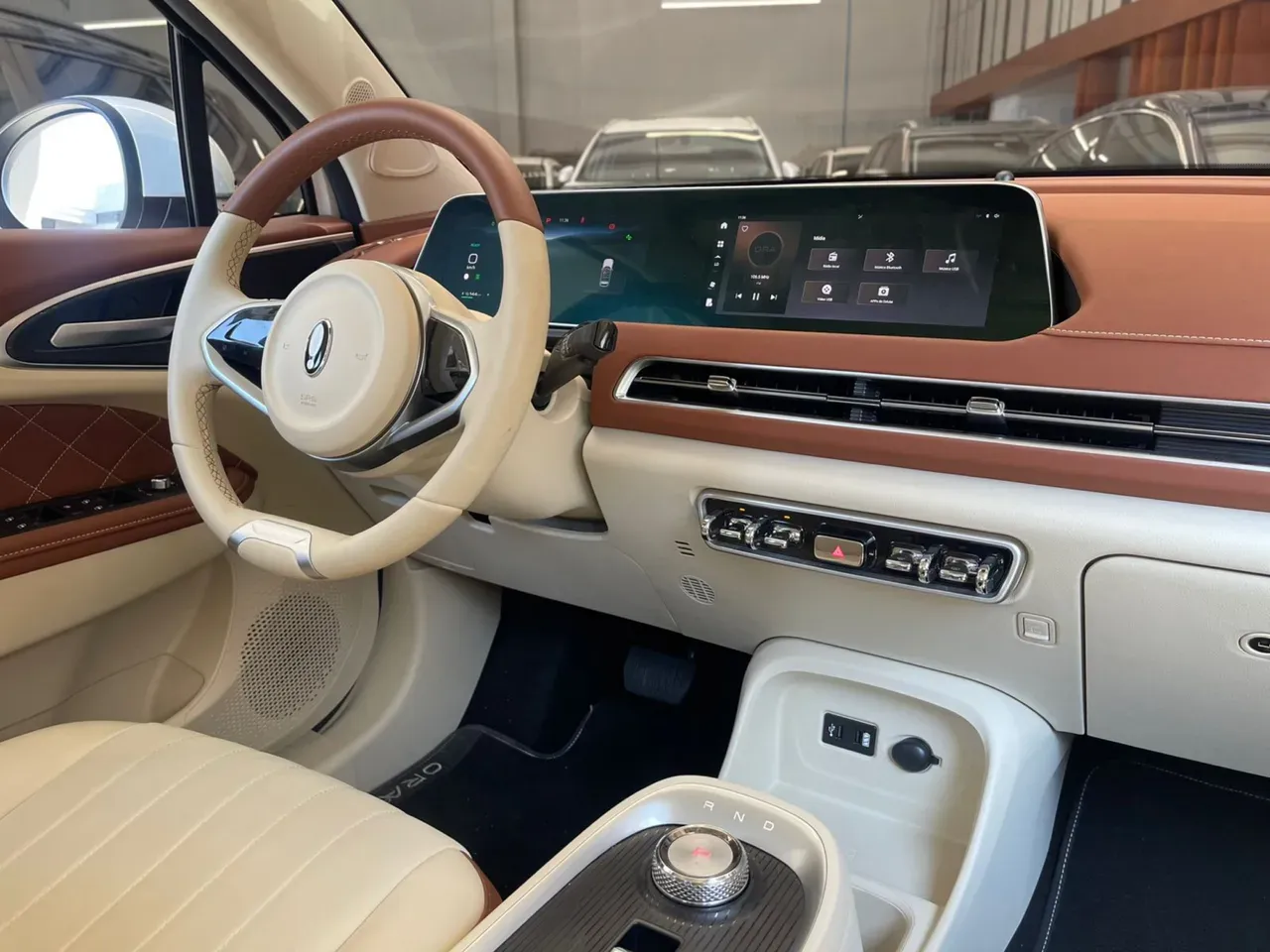 GWM Ora 03 - Imagem 15