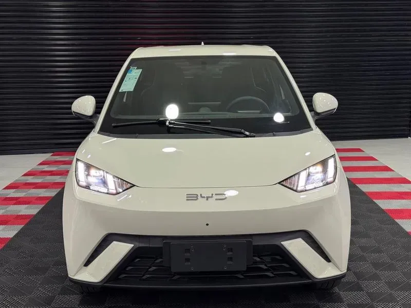 BYD Dolphin Mini - Imagem 6