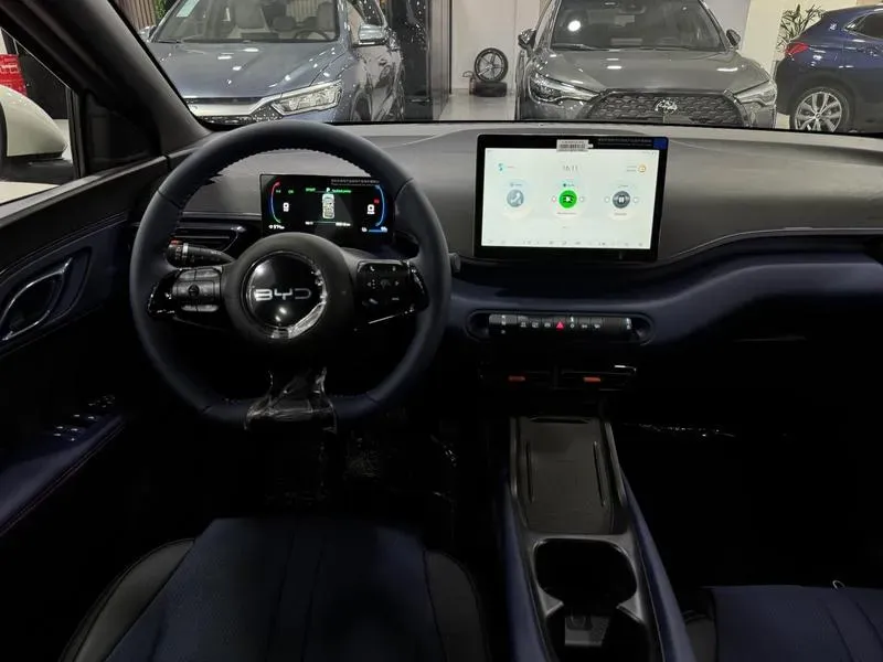 BYD Dolphin Mini - Imagem 10