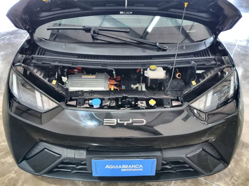 BYD Dolphin Mini - Imagem 6