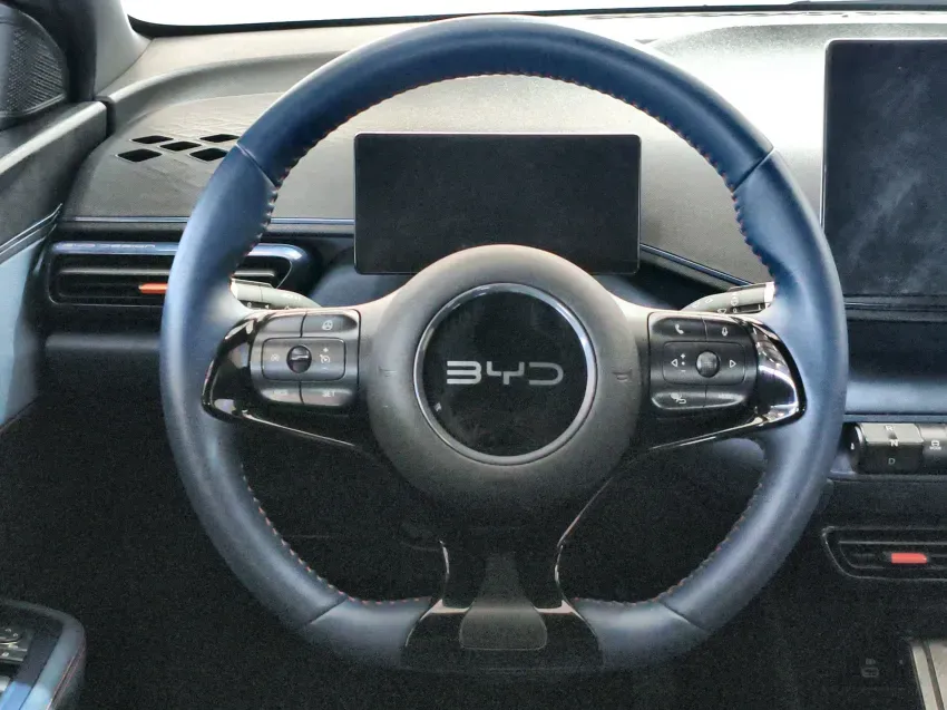 BYD Dolphin Mini - Imagem 16