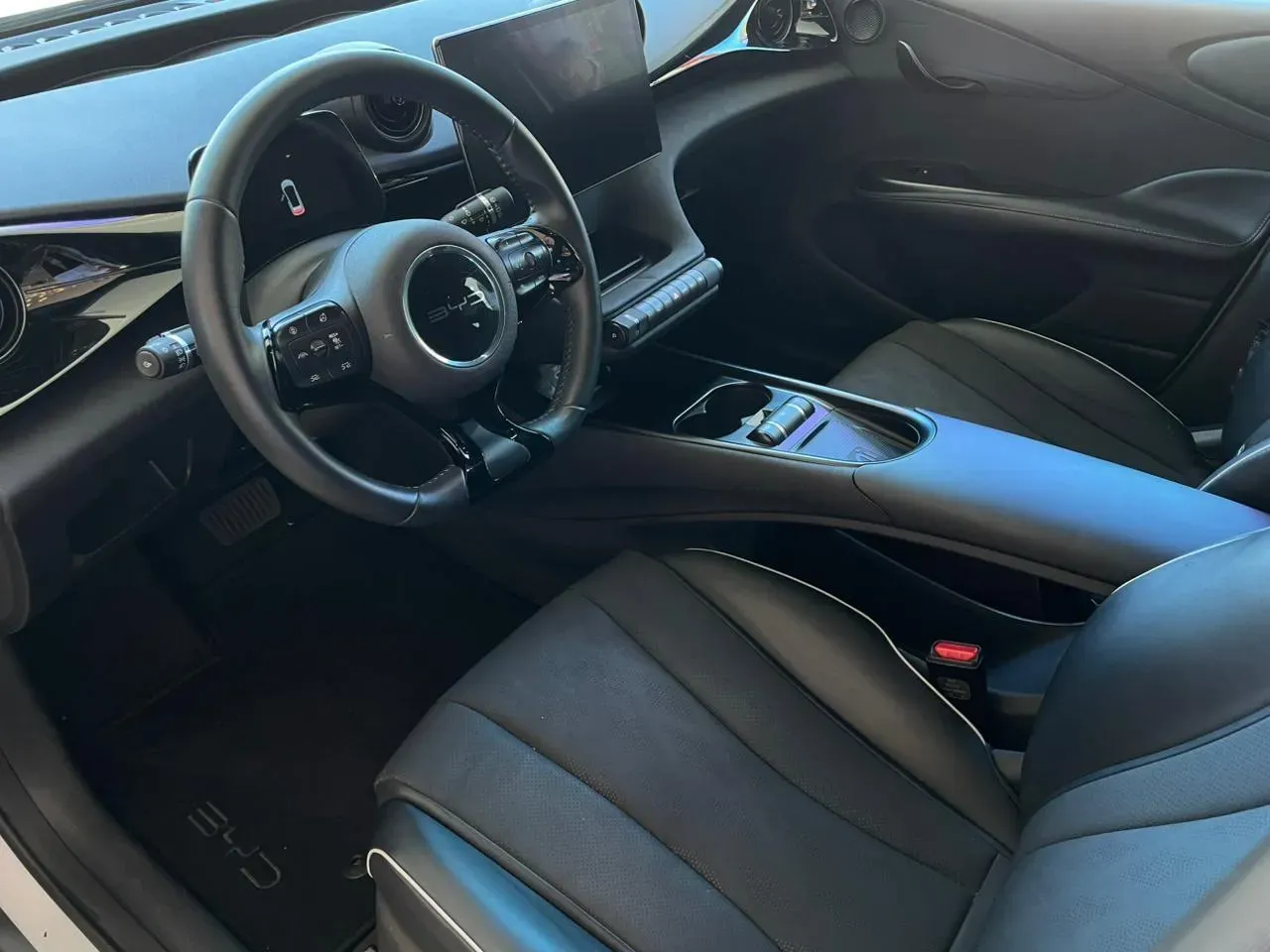 BYD Dolphin Plus - Imagem 10