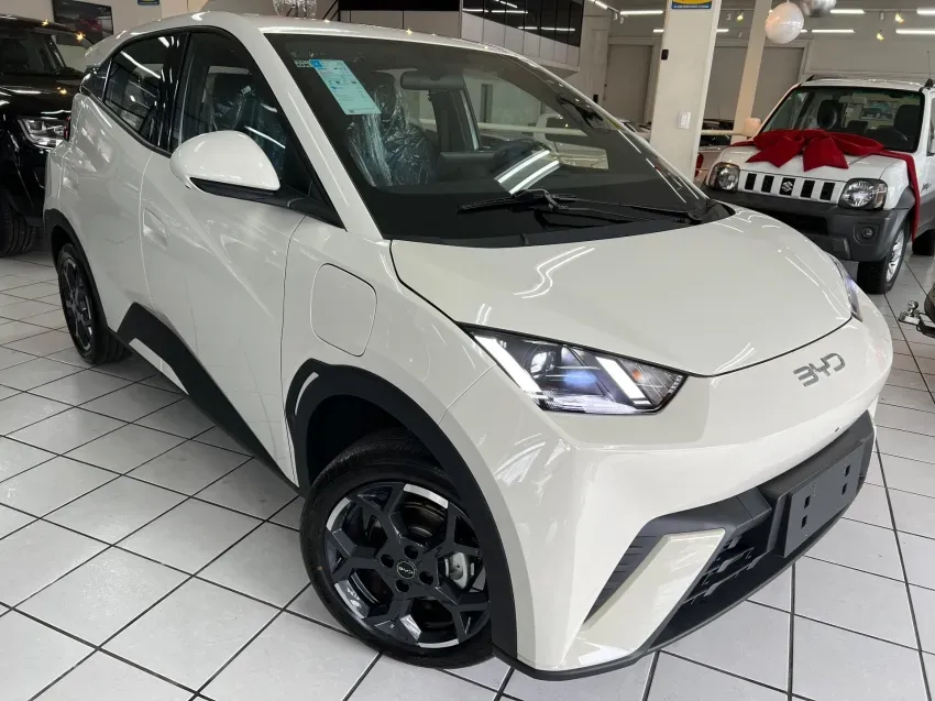 BYD Dolphin Mini - Imagem 2