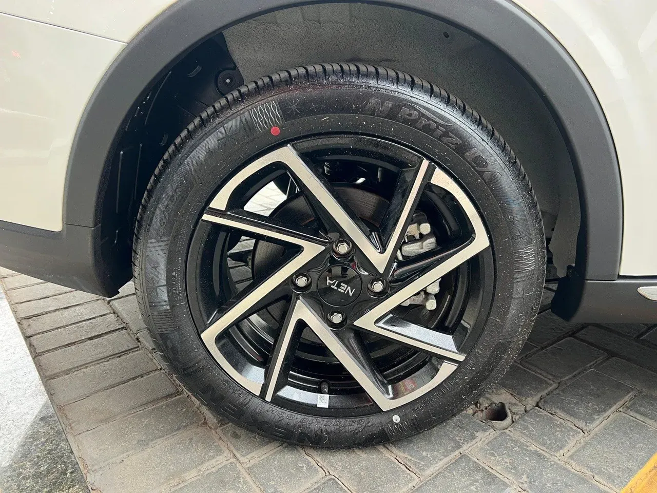 Neta Aya - Imagem 16